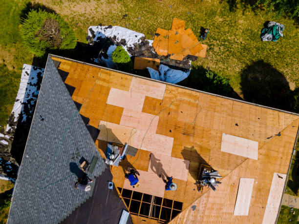 Best Roof Leak Repair  in Ilco, WA