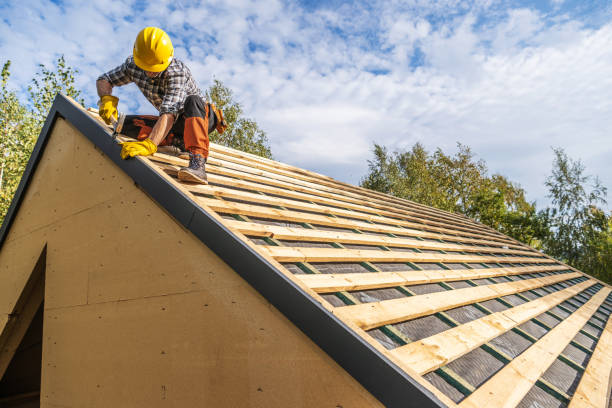Best Roof Maintenance Services  in Ilco, WA